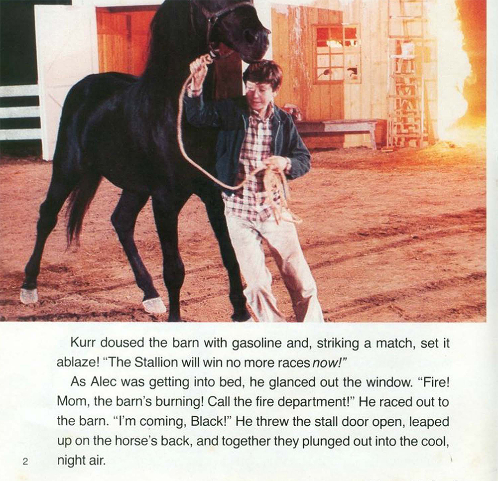 The Black Stallion Returns (04),绘本,绘本故事,绘本阅读,故事书,童书,图画书,课外阅读